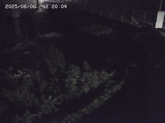 佐治川３2025/06/06 3:00:00