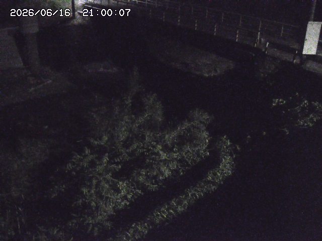 佐治川３2026/06/17 12:00:00