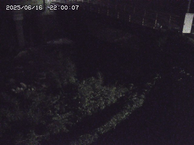 佐治川３2026/06/17 12:00:00