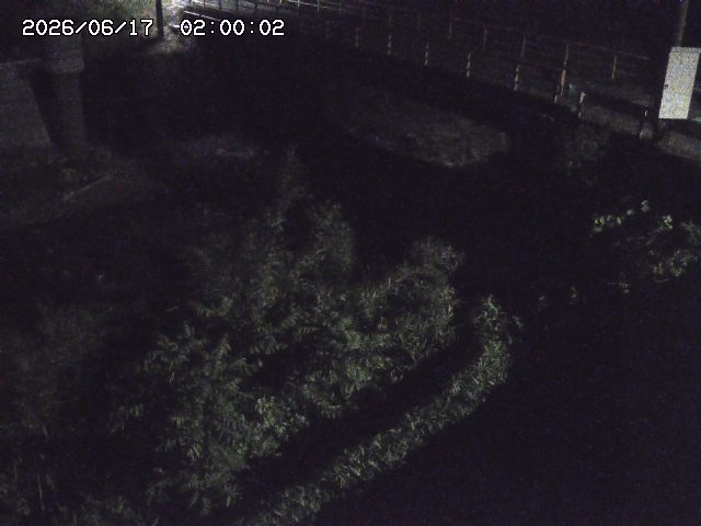 佐治川３2026/06/17 12:00:00