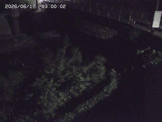 佐治川３2026/06/17 12:00:00