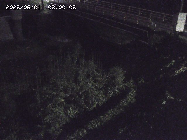 佐治川３2026/08/01 20:50:00