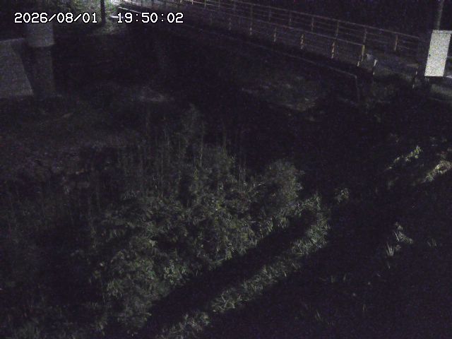 佐治川３2026/08/01 20:50:00