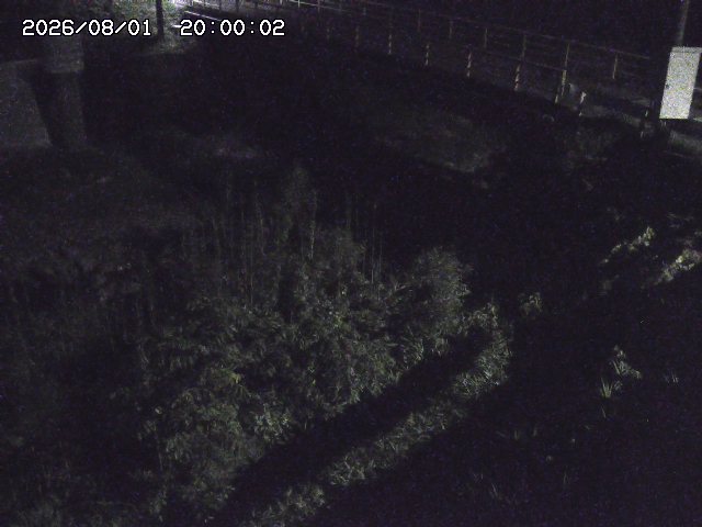 佐治川３2026/08/01 20:50:00