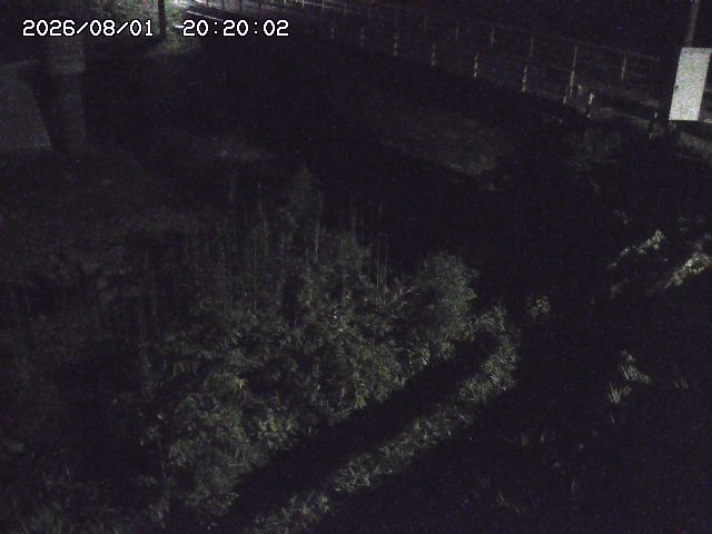 佐治川３2026/08/01 20:50:00