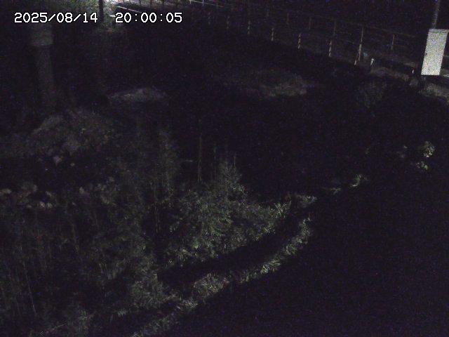 佐治川３2025/08/15 15:50:00