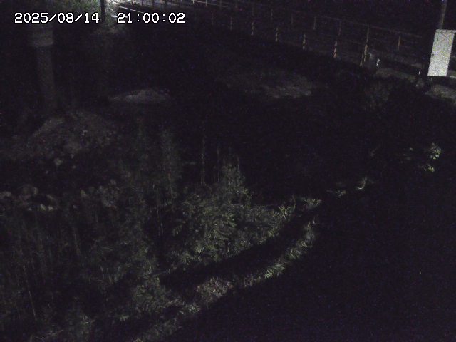 佐治川３2025/08/15 15:50:00