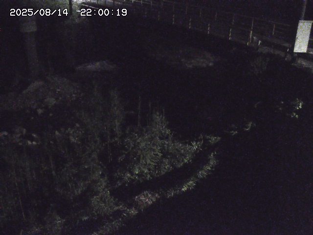 佐治川３2025/08/15 15:50:00