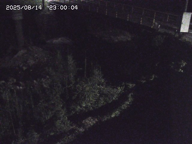 佐治川３2025/08/15 15:50:00