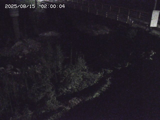 佐治川３2025/08/15 15:50:00