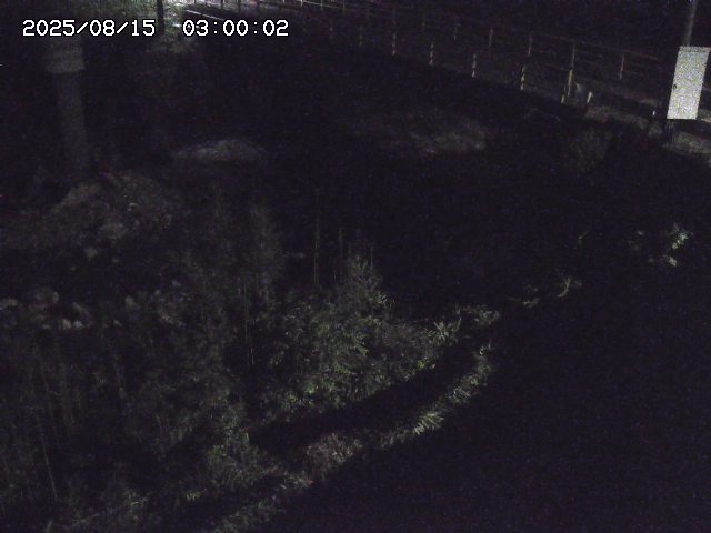 佐治川３2025/08/15 15:50:00