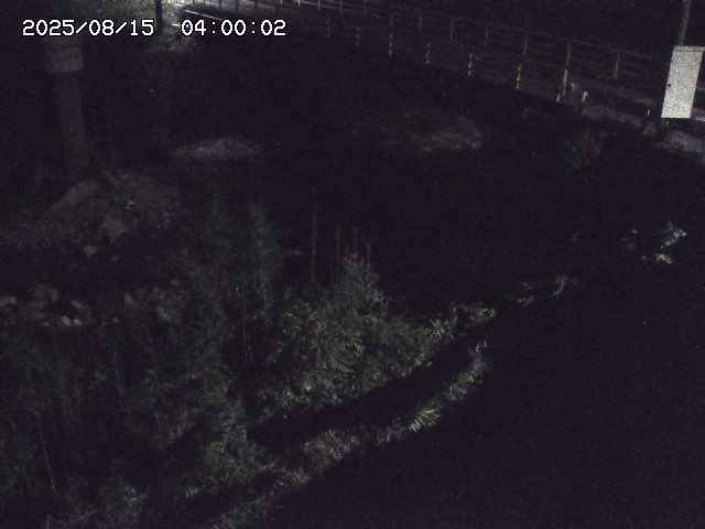 佐治川３2025/08/15 15:50:00