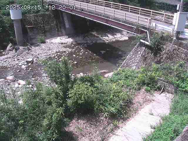 佐治川３2025/08/15 15:50:00