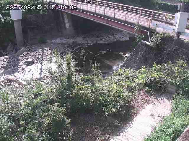佐治川３2025/08/15 15:50:00