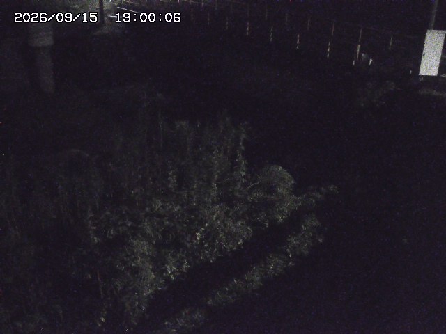 佐治川３2026/09/16 16:40:00