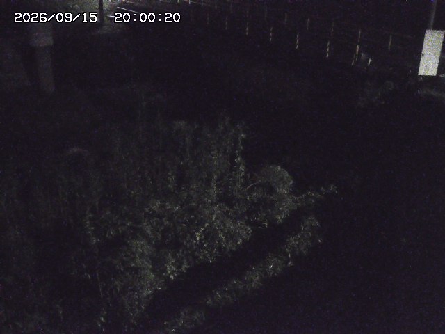 佐治川３2026/09/16 16:40:00