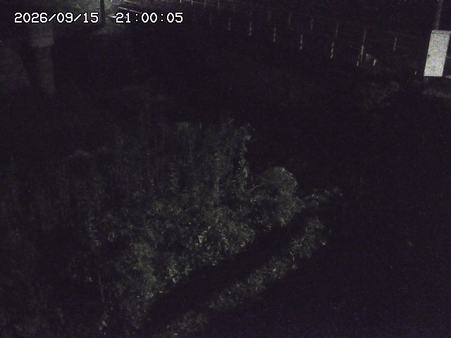 佐治川３2026/09/16 16:40:00