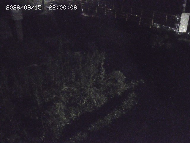 佐治川３2026/09/16 16:40:00