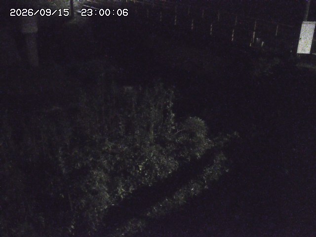 佐治川３2026/09/16 16:40:00
