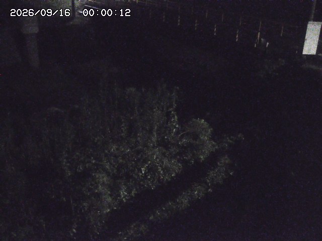 佐治川３2026/09/16 16:40:00