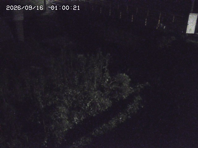 佐治川３2026/09/16 16:40:00