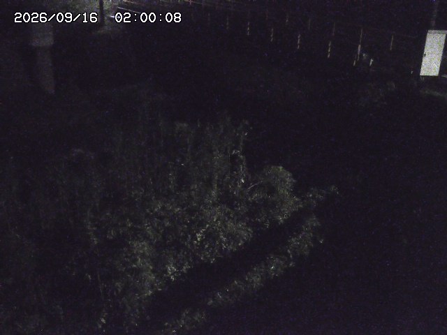 佐治川３2026/09/16 16:40:00