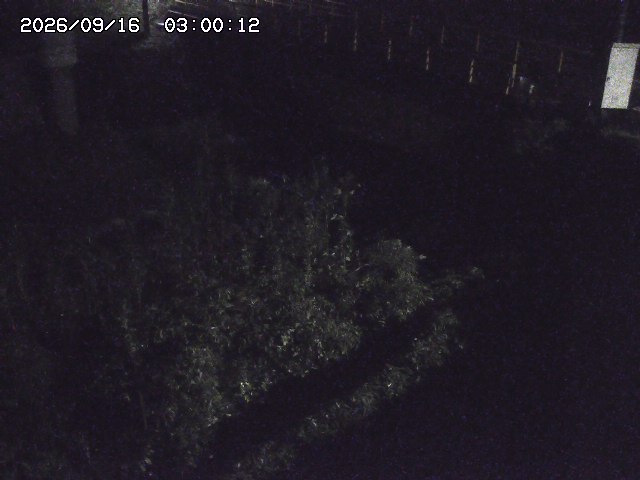 佐治川３2026/09/16 16:40:00