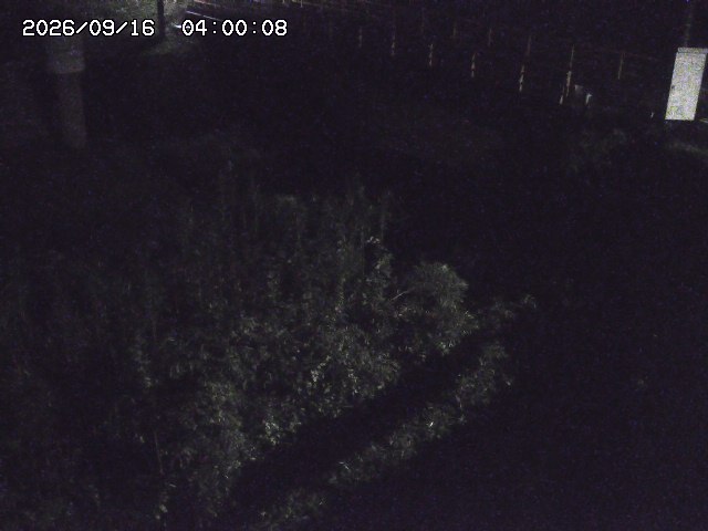 佐治川３2026/09/16 16:40:00