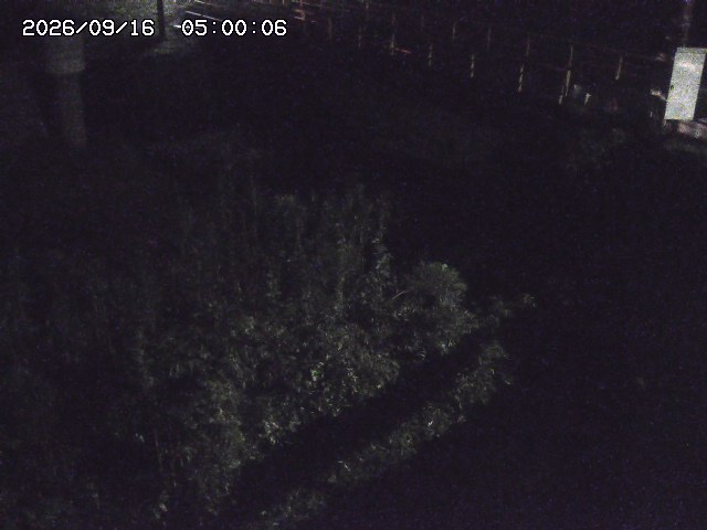佐治川３2026/09/16 16:40:00