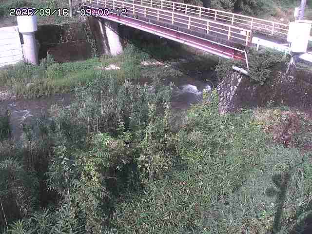 佐治川３2026/09/16 16:40:00