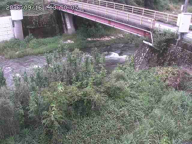 佐治川３2026/09/16 16:40:00