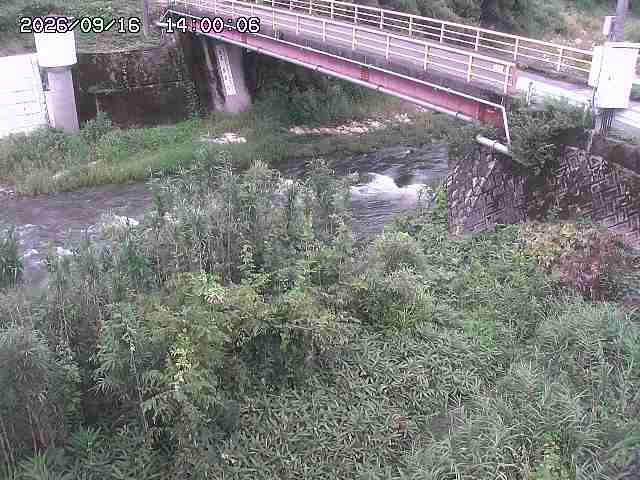 佐治川３2026/09/16 16:40:00