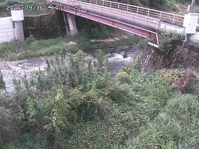 佐治川３2026/09/16 16:40:00