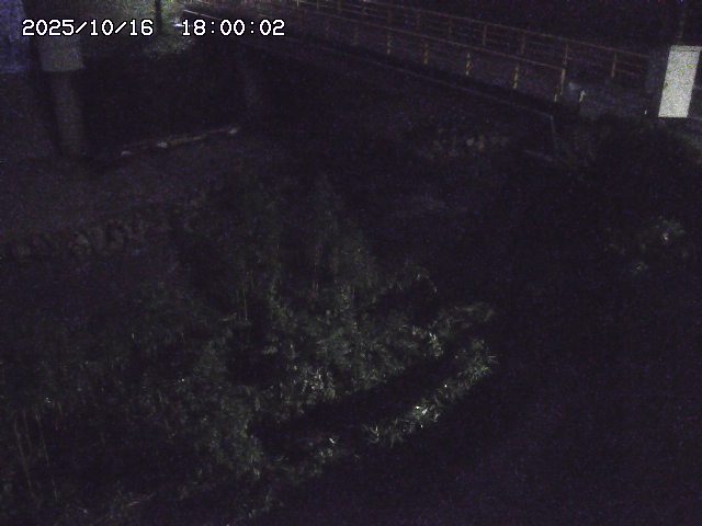 佐治川３2025/10/17 17:30:00