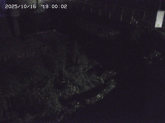 佐治川３2025/10/17 17:30:00