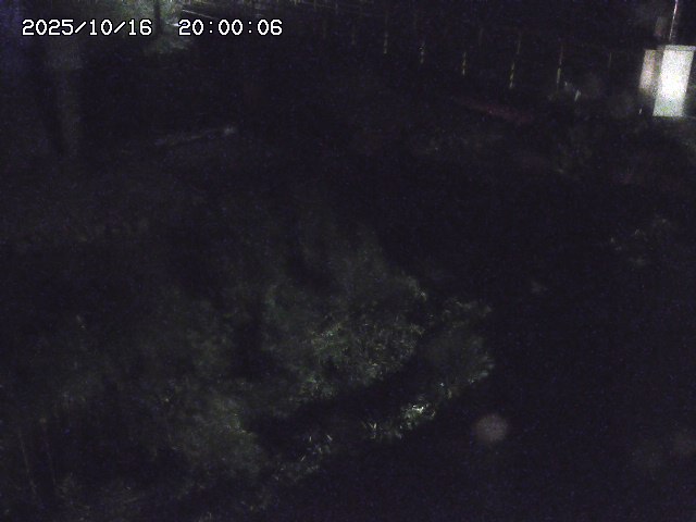 佐治川３2025/10/17 17:30:00