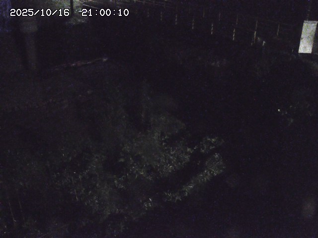 佐治川３2025/10/17 17:30:00