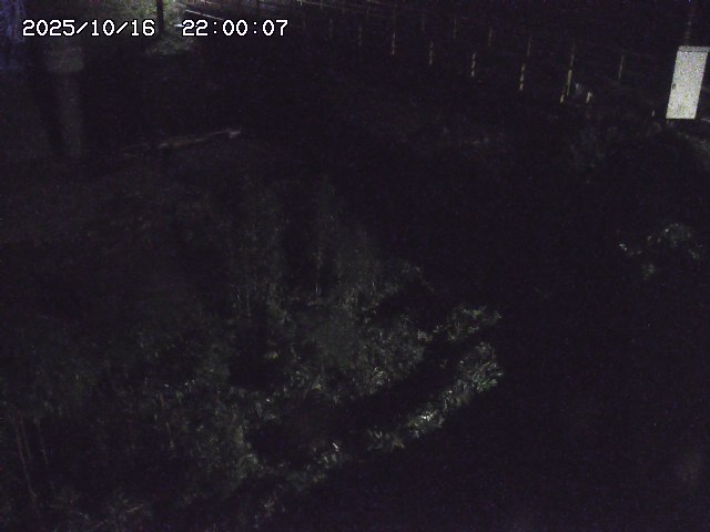 佐治川３2025/10/17 17:30:00