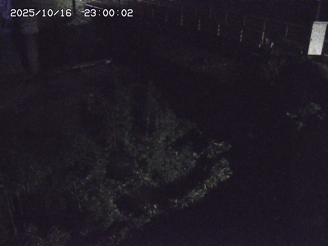 佐治川３2025/10/17 17:30:00