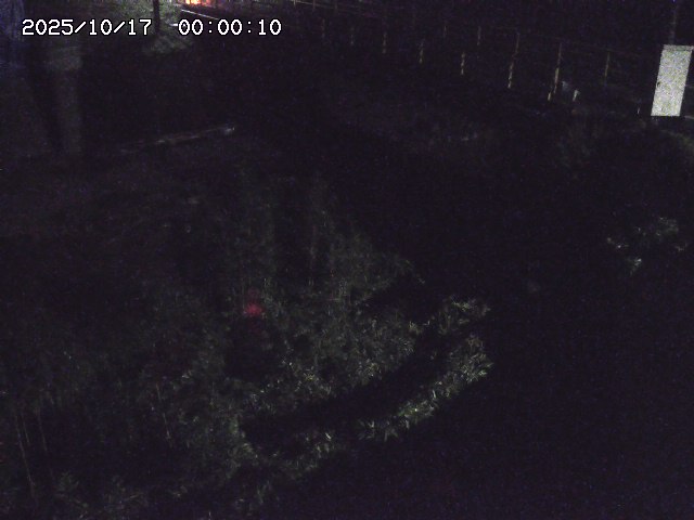佐治川３2025/10/17 17:30:00