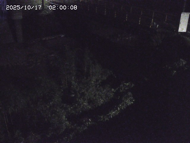 佐治川３2025/10/17 17:30:00