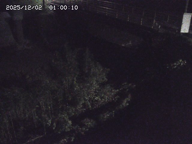 佐治川３2025/12/02 12:10:00
