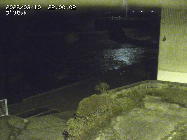 佐治川５2026/03/11 13:50:00