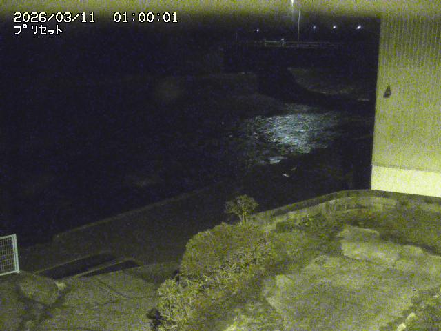 佐治川５2026/03/11 13:50:00