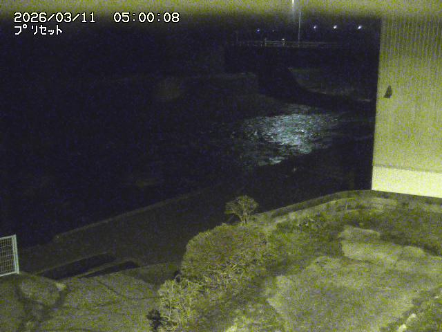 佐治川５2026/03/11 13:50:00