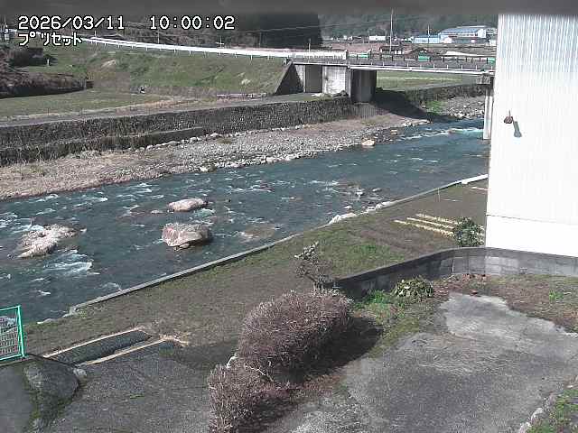 佐治川５2026/03/11 13:50:00