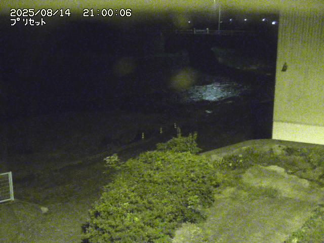佐治川５2025/08/15 15:40:00