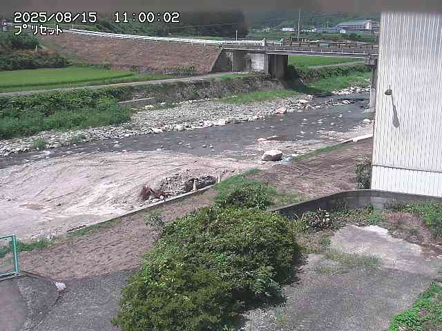佐治川５2025/08/15 15:40:00