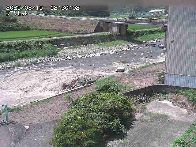 佐治川５2025/08/15 15:40:00