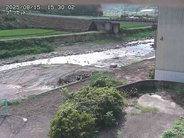 佐治川５2025/08/15 15:40:00